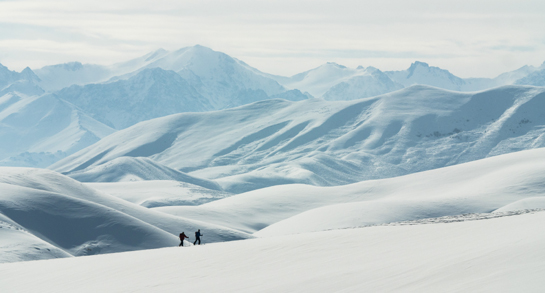 Neiges de la soie